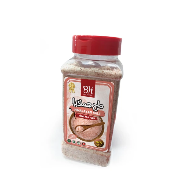 himalayan salt-800 gr
